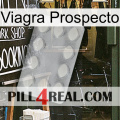 Prospecto Viagra 16